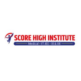 Score High Institute